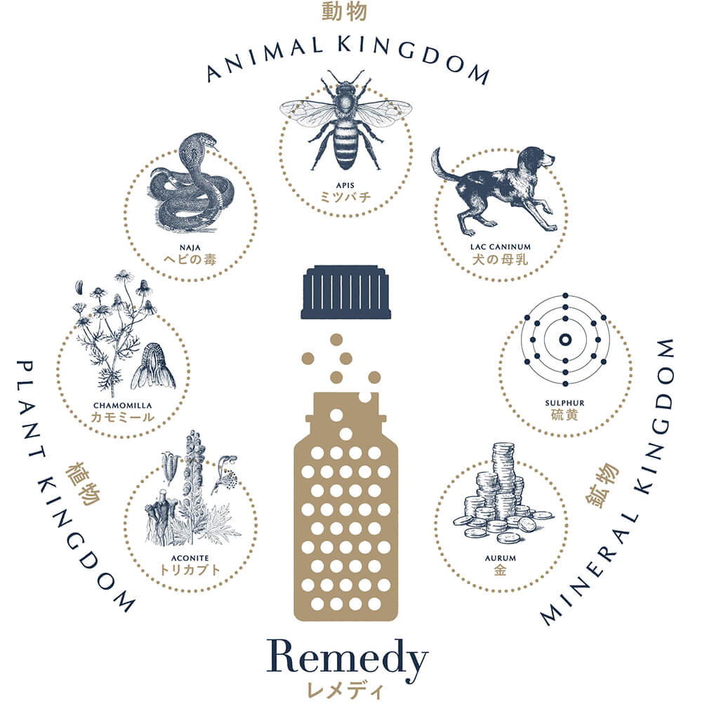 レメディーとは